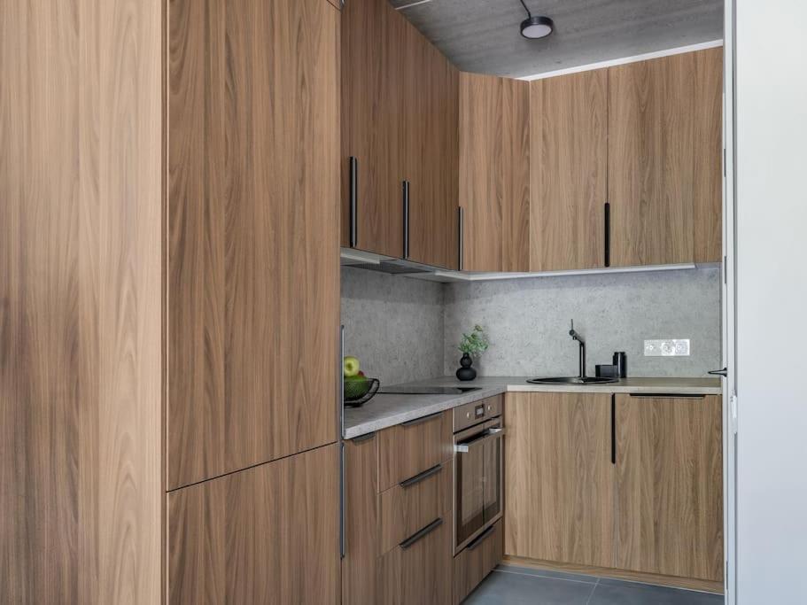 Butas Stylish Loft In Vilnius